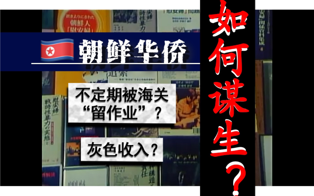 四代朝鲜华侨以何为生?为何被海关“留作业”?是否有灰色收入?哔哩哔哩bilibili