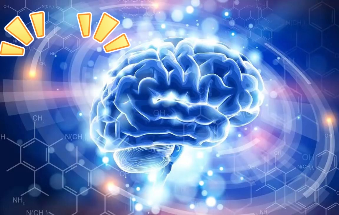 额叶激活音乐(记忆,注意力,海马刺激,大脑激活)