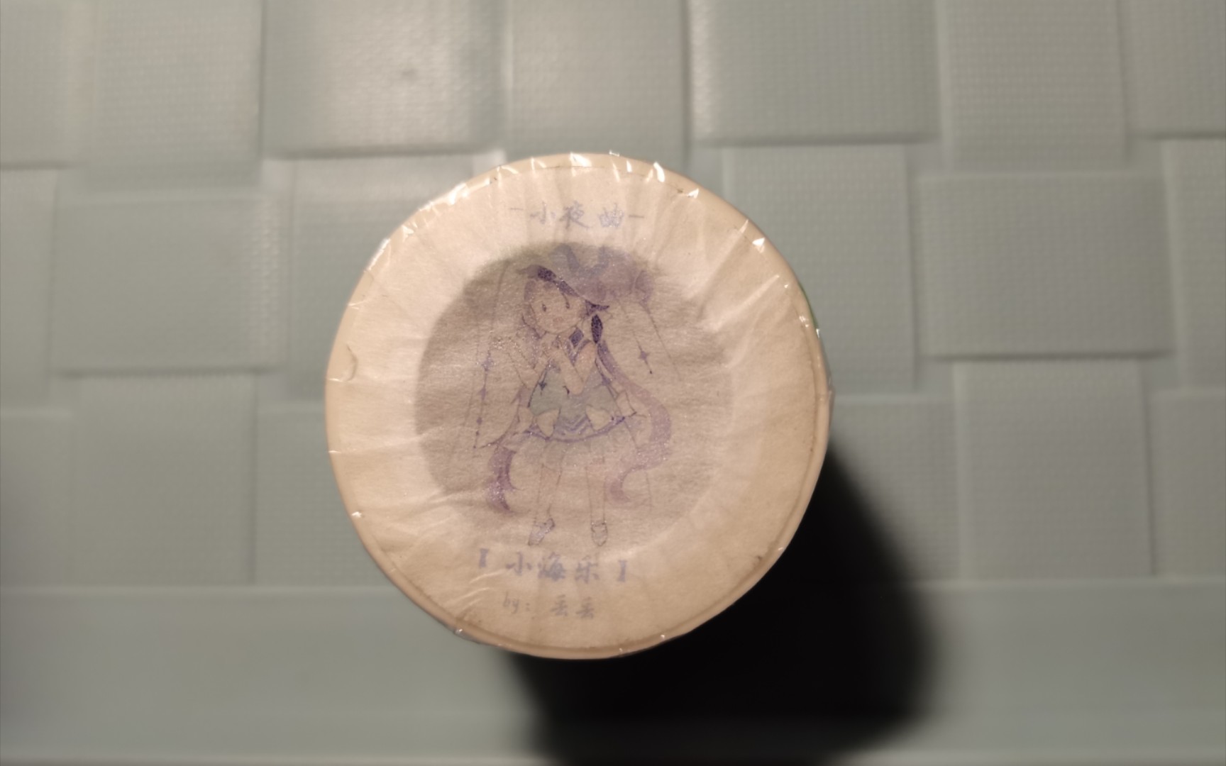 整卷49小海乐丨丢丢丨小夜曲手帐工作室