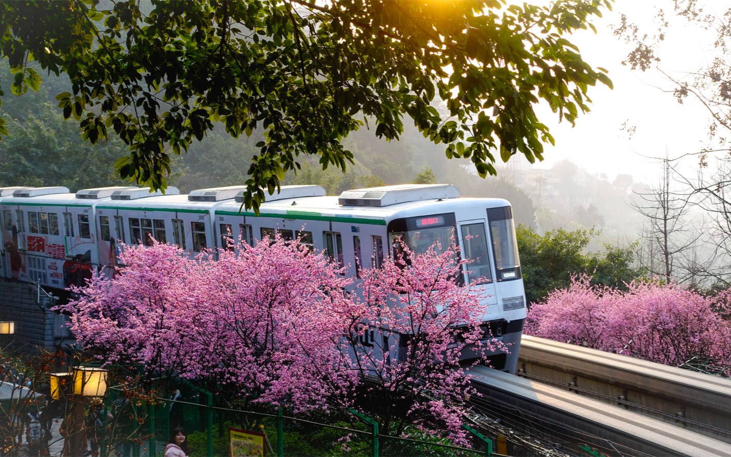 开往春天的列车-重庆佛图关公园