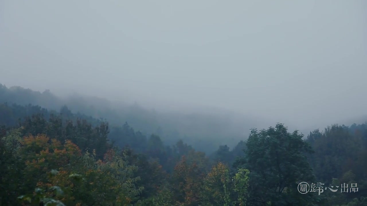 [图]【剪辑拍摄】一场秋雨一场寒