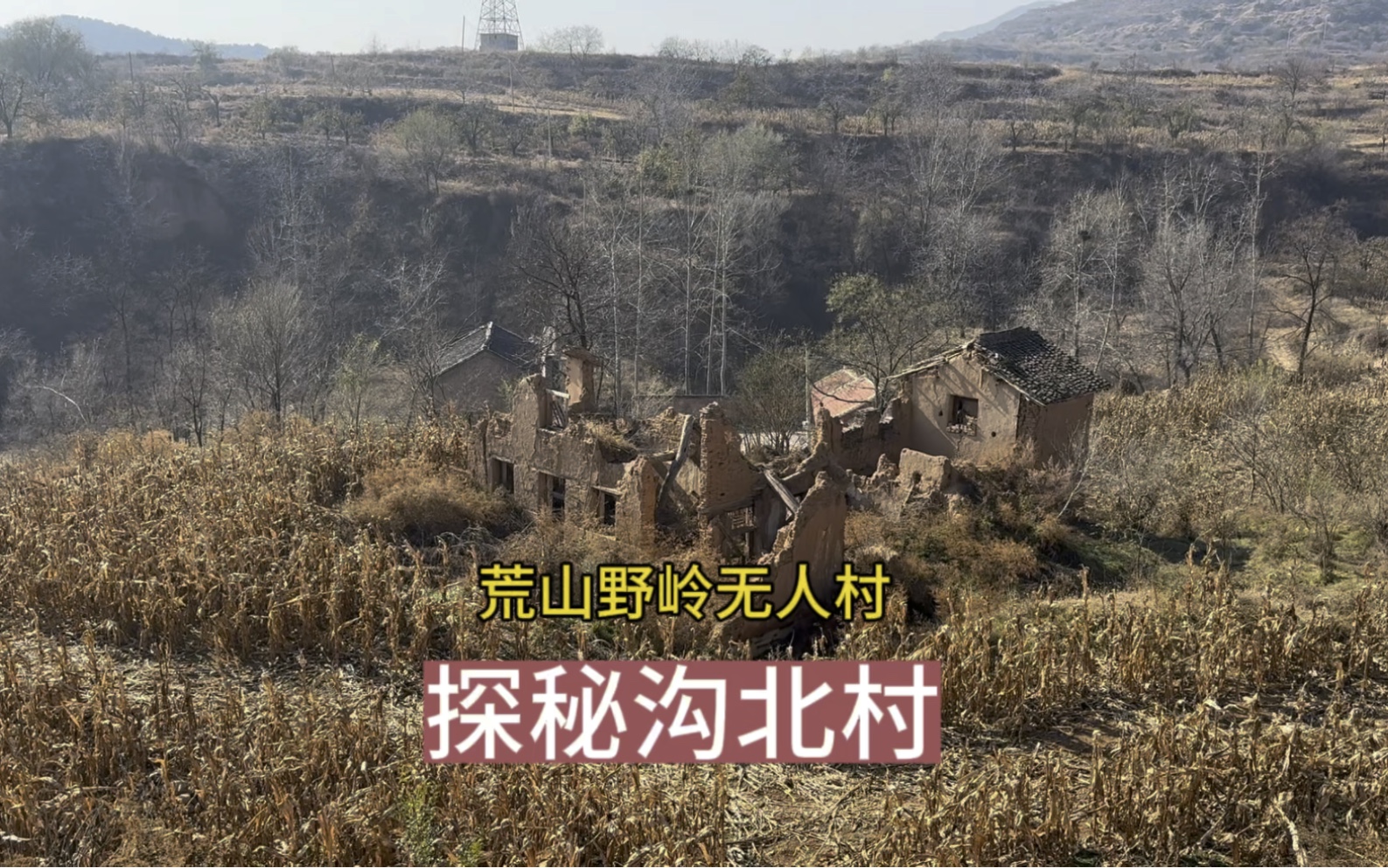 山西晋城,探秘沟北村,荒山野岭无人村,只剩两院房子和一棵古树
