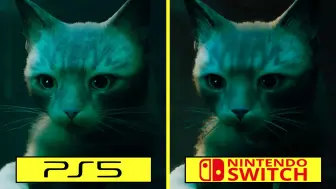 Download Video: Stray Nintendo Switch 与 PS5 早期图形比较