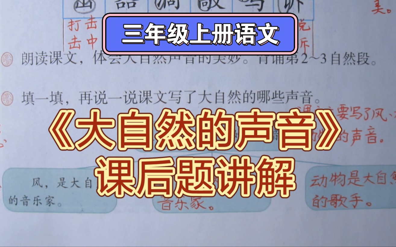 三上语文《大自然的声音》课后题讲解,这些声音你在哪里听过?哔哩哔哩bilibili