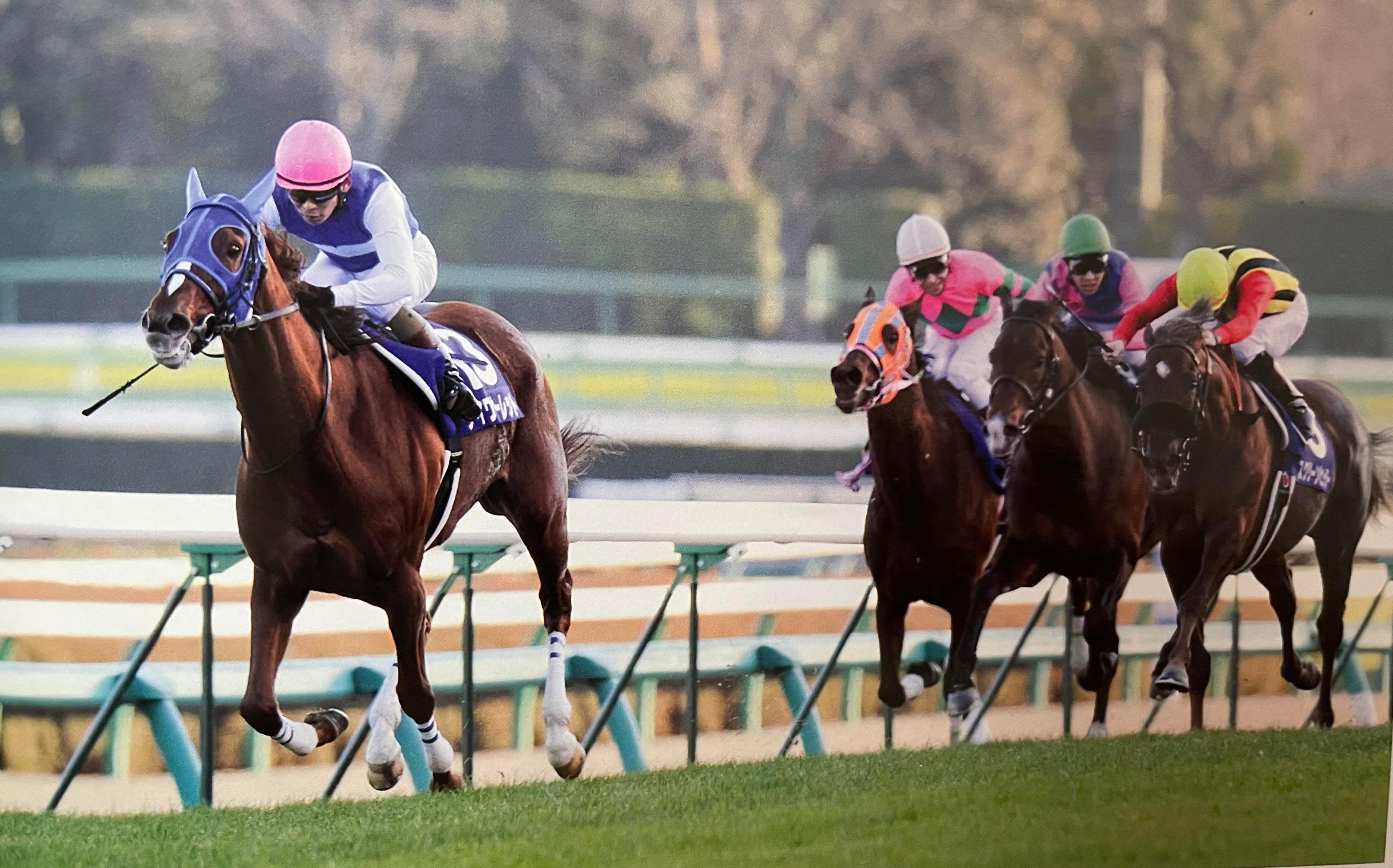 2008有马纪念 优胜:大和赤骥ダイワスカーレット