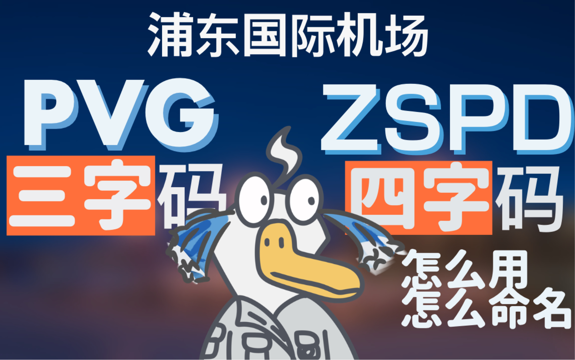 【大白鹅】一个机场俩名字?机场代码使用命名大揭秘哔哩哔哩bilibili