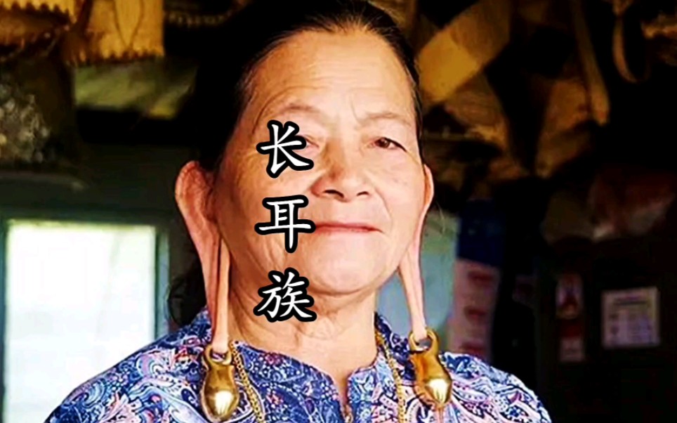 长耳族,你听说过吗?