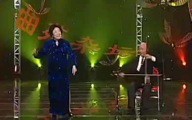 河南坠子 借髢髢 马玉萍 2008年录像哔哩哔哩bilibili