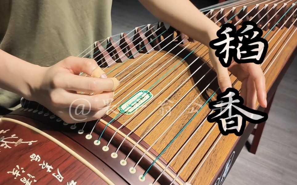 【古筝】纯筝 周杰伦 稻香