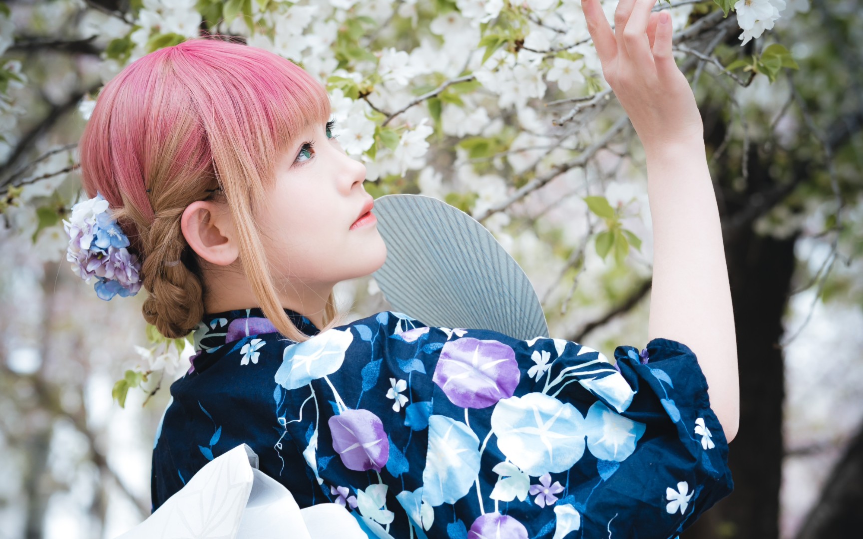 关于一个野生摄影的樱花季南梦芽cos的拍摄日常