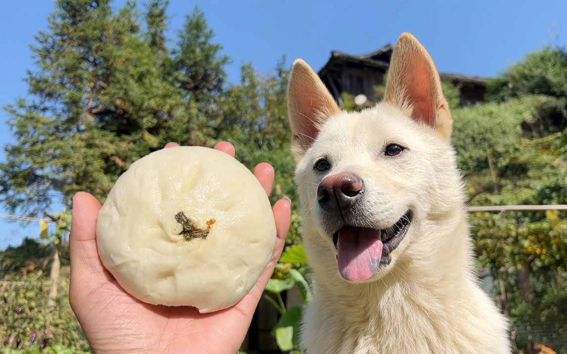 肉包子打狗,狗子吓跑了