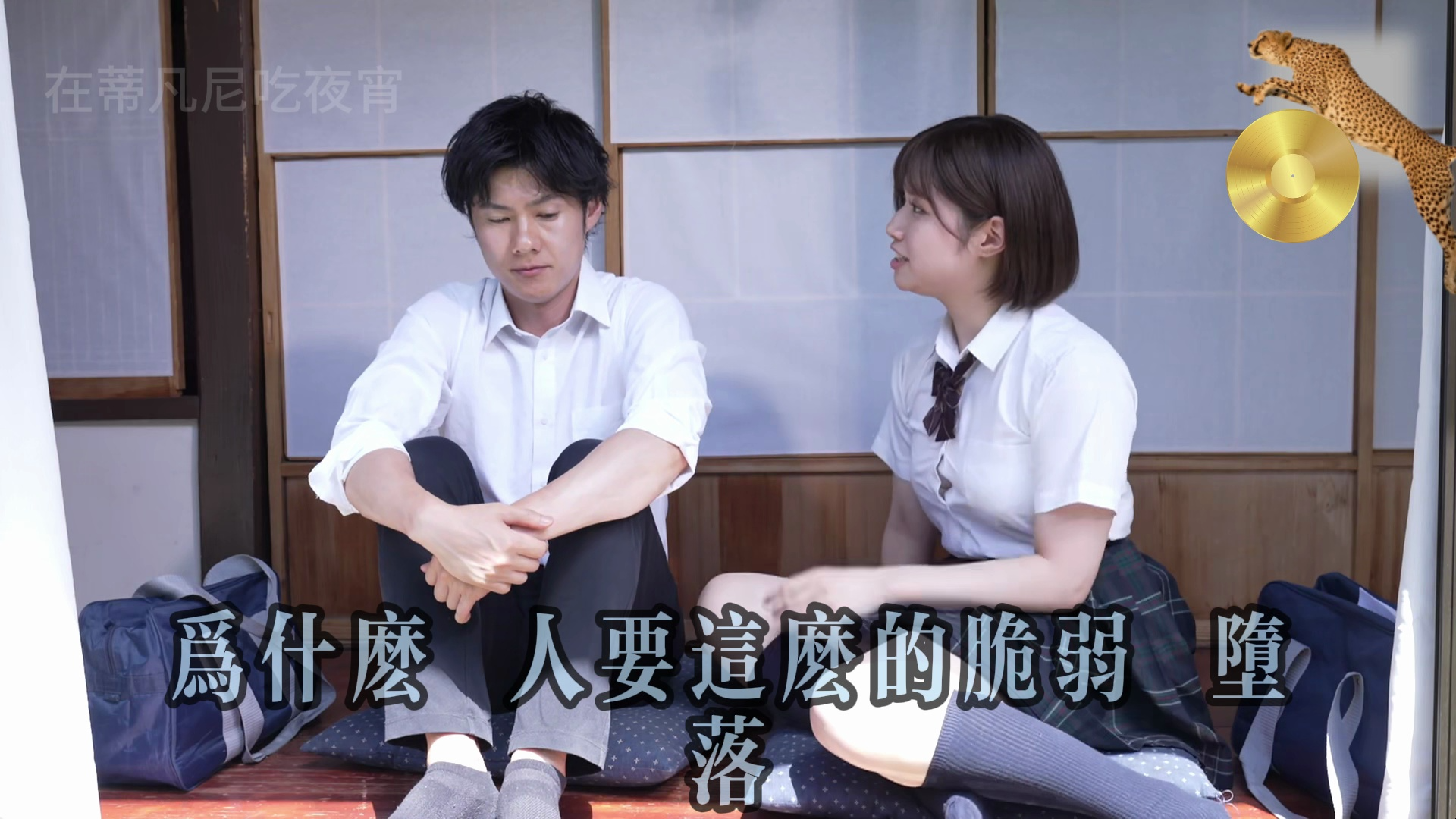 随着《稻香》河流继续奔跑-蓝井 x 石原希望，纯爱向文艺小清新MV。