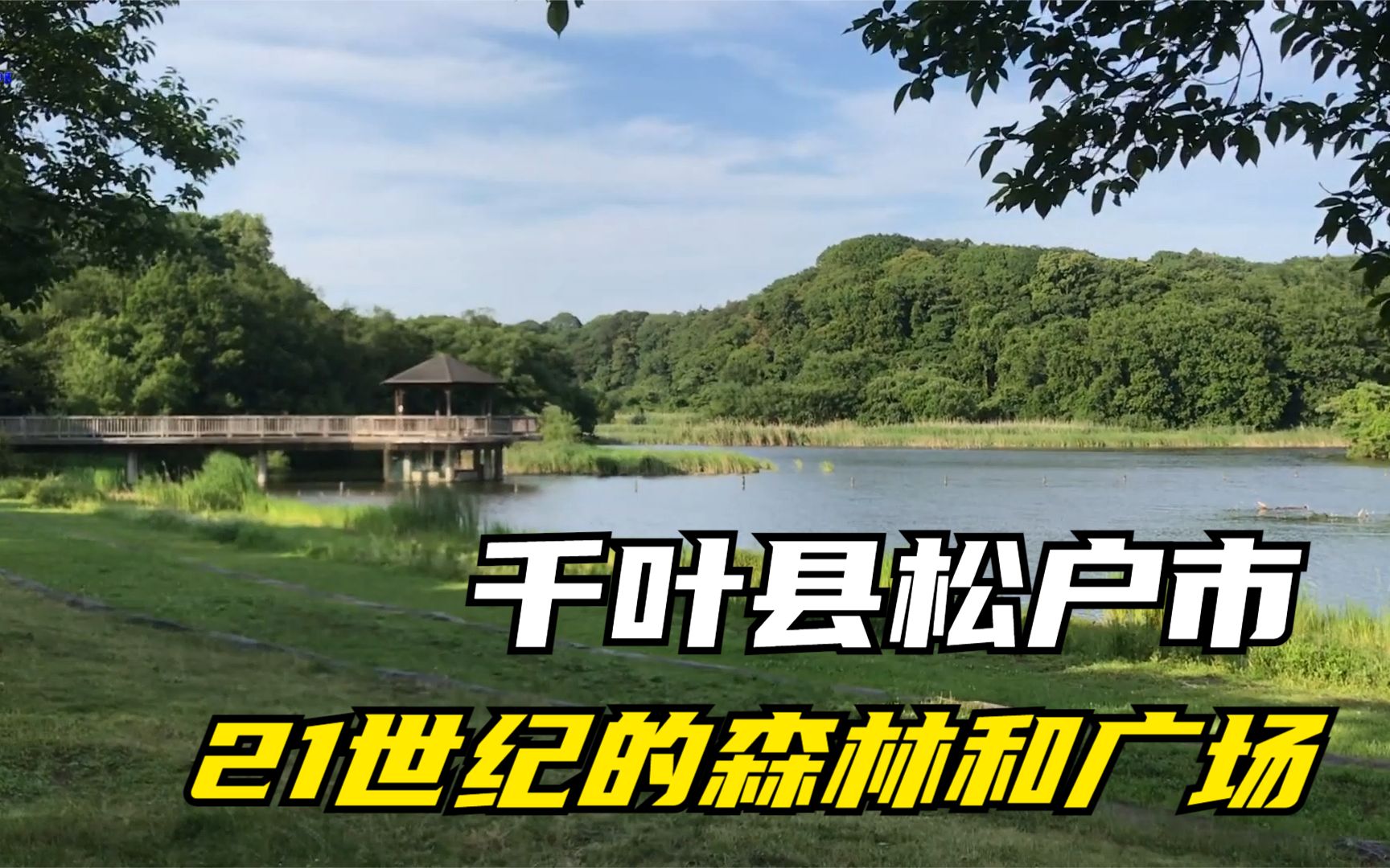 [图]游览千叶县松户市21世纪的森林和广场公园