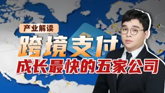 CIPS跨境支付领域成长最快的5家公司