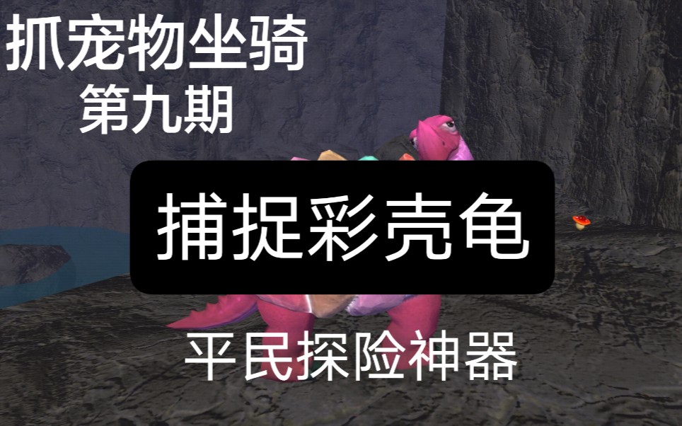 探险神器彩壳龟你觉得怎么样手机游戏热门视频