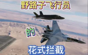 Download Video: 【DCS】野路子飞行员的“花式拦截”（1）