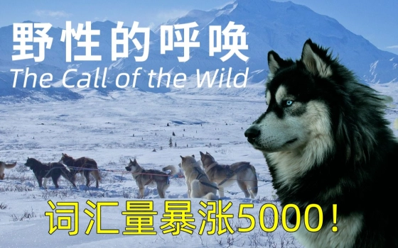 Pizhui英语阿肥子的个人空间 哔哩哔哩 Bilibili