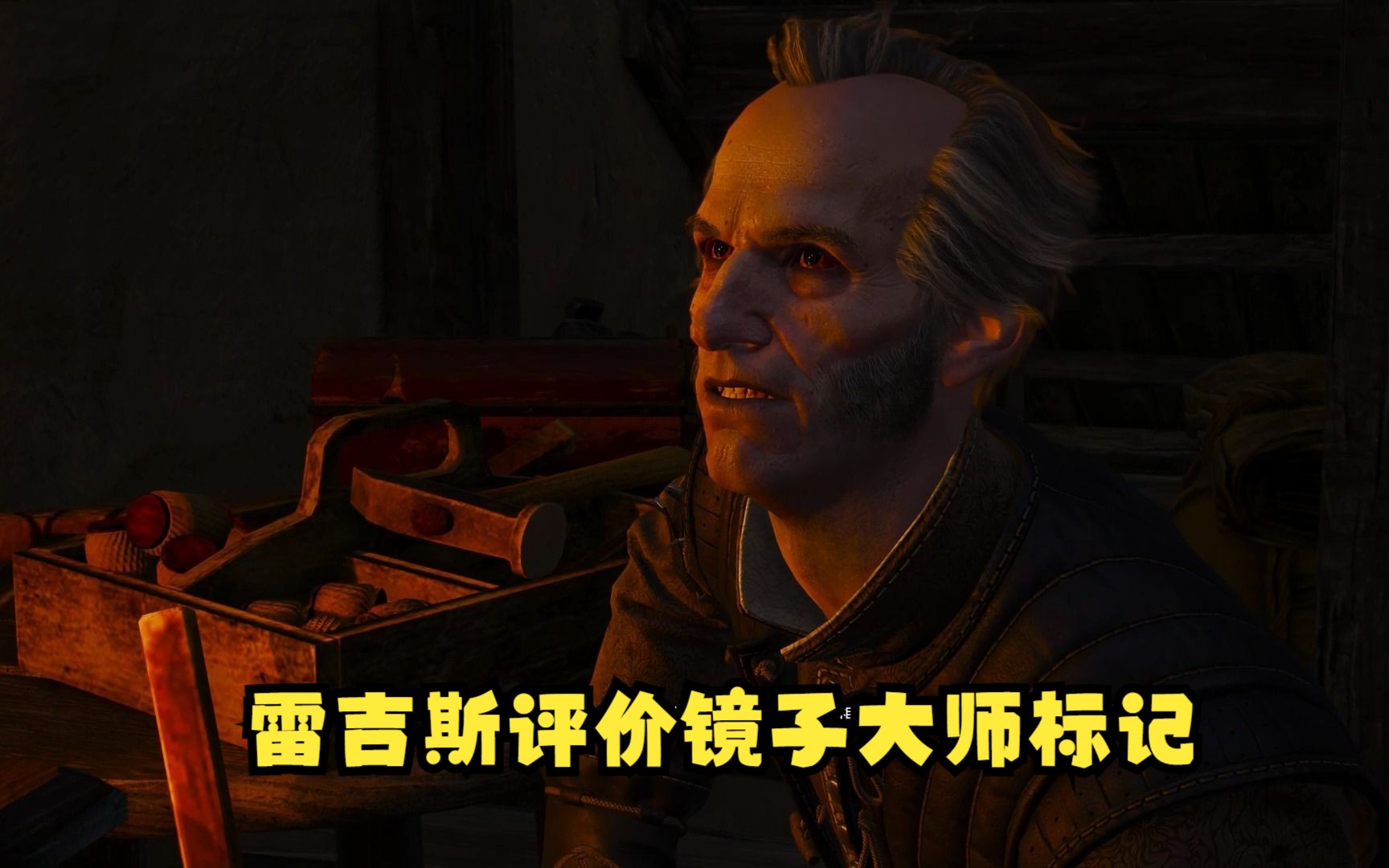 【巫师3次世代中配】雷吉斯评价镜子大师标记