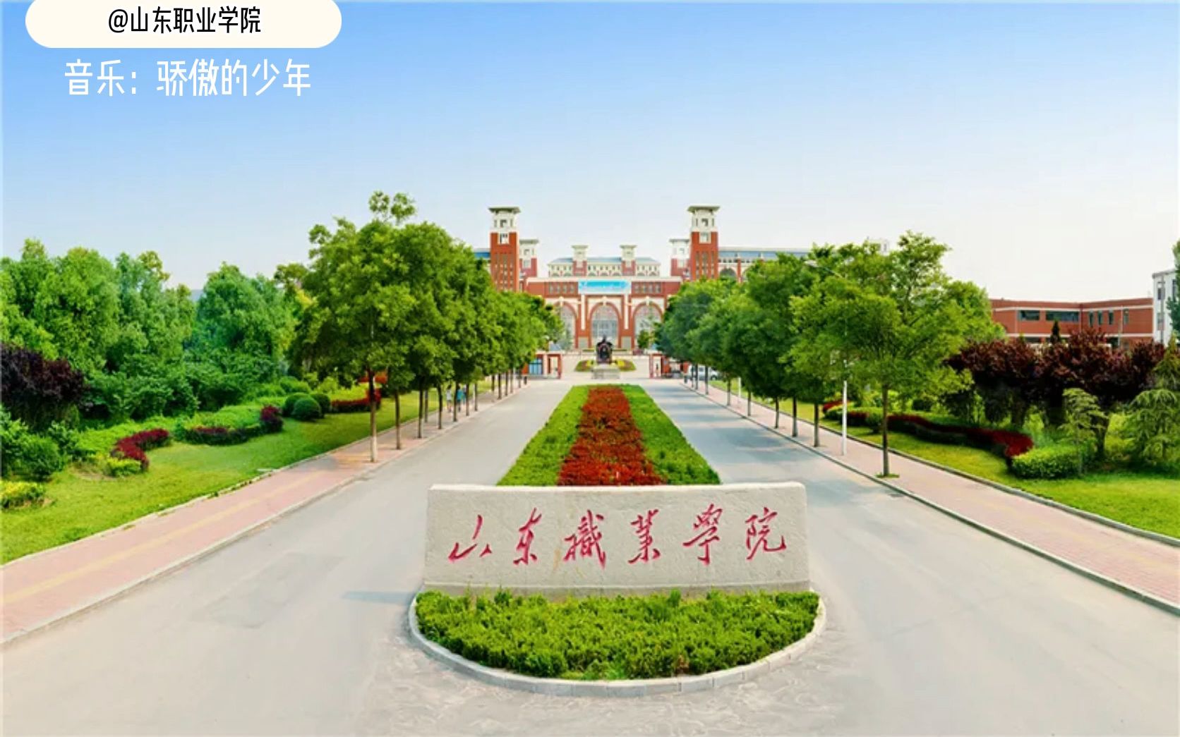 山东职业学院哔哩哔哩bilibili