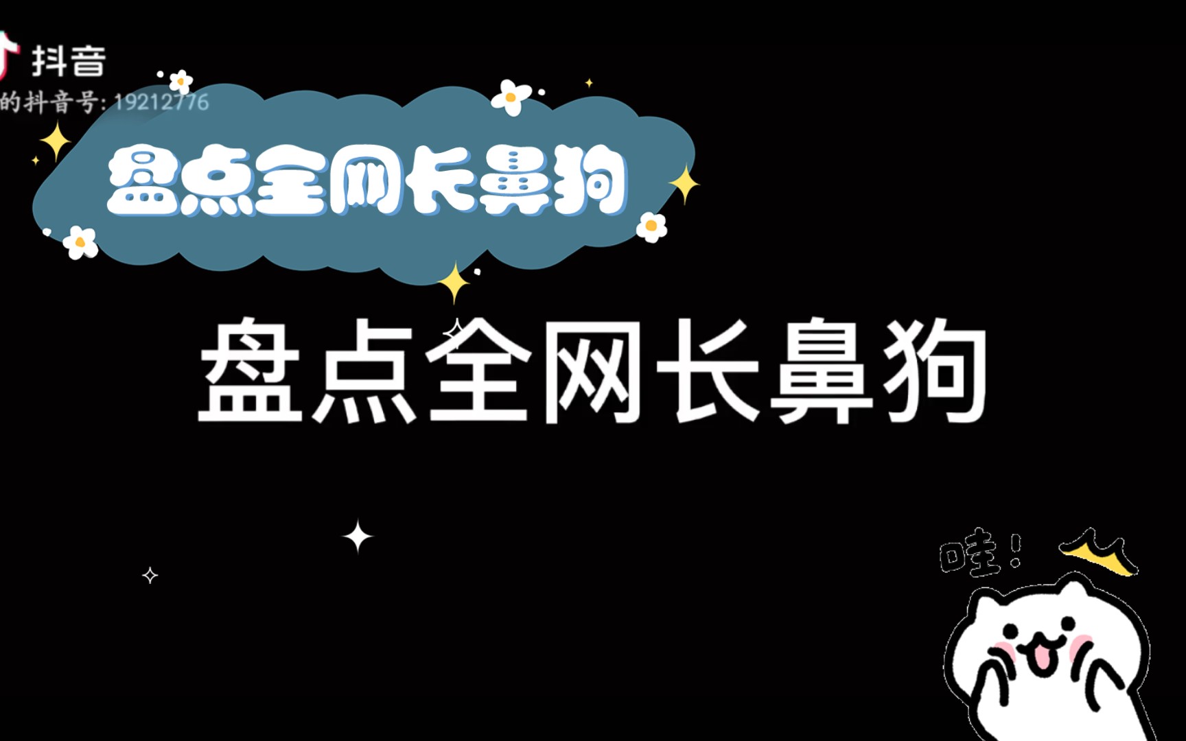 盘点全网长鼻狗哔哩哔哩bilibili