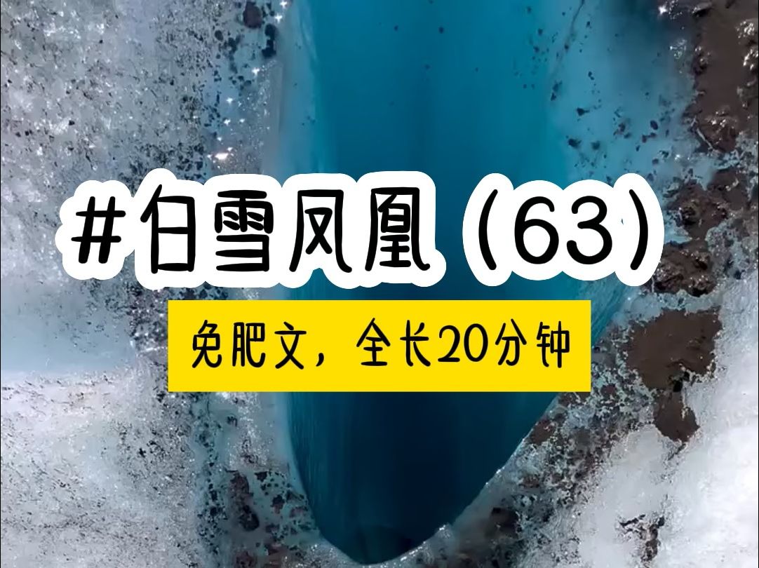 [图]茗《白雪凤凰》第63集