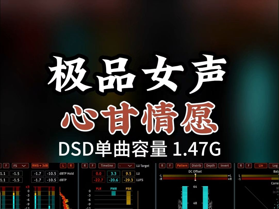 经典老歌新唱,极品发烧女声,《心甘情愿》DSD完整版1.47G,百万调音师专业录音棚制作,顶级hifi无损音质哔哩哔哩bilibili