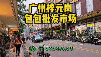 下载视频: 广州市白云区梓元岗包包批发市场街头现状