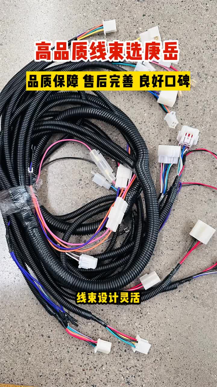 T5G Cab Harness Application in HOWO Truck
