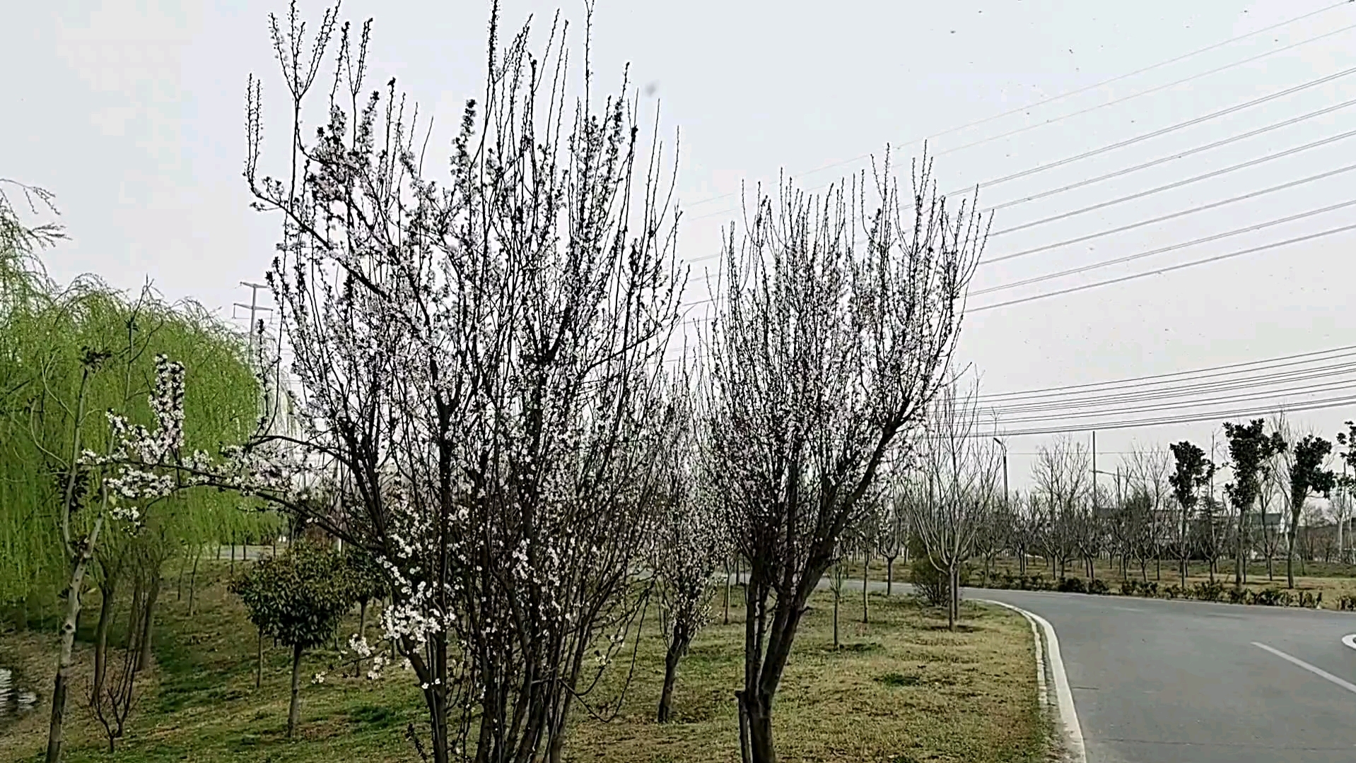 [图]温县环城河美景