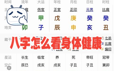 八字怎么看身体健康?哔哩哔哩bilibili