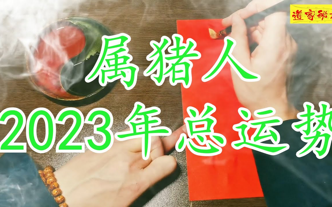 属猪人2023年总分析哔哩哔哩bilibili