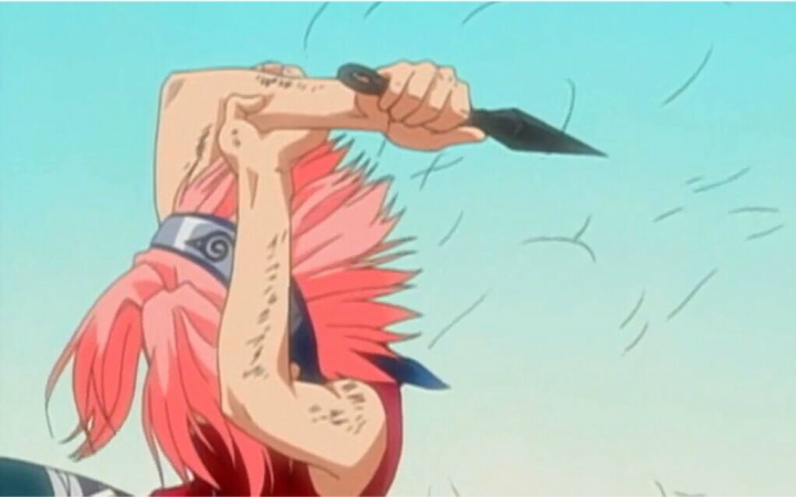 一朵樱花开出一个季节春野樱外传