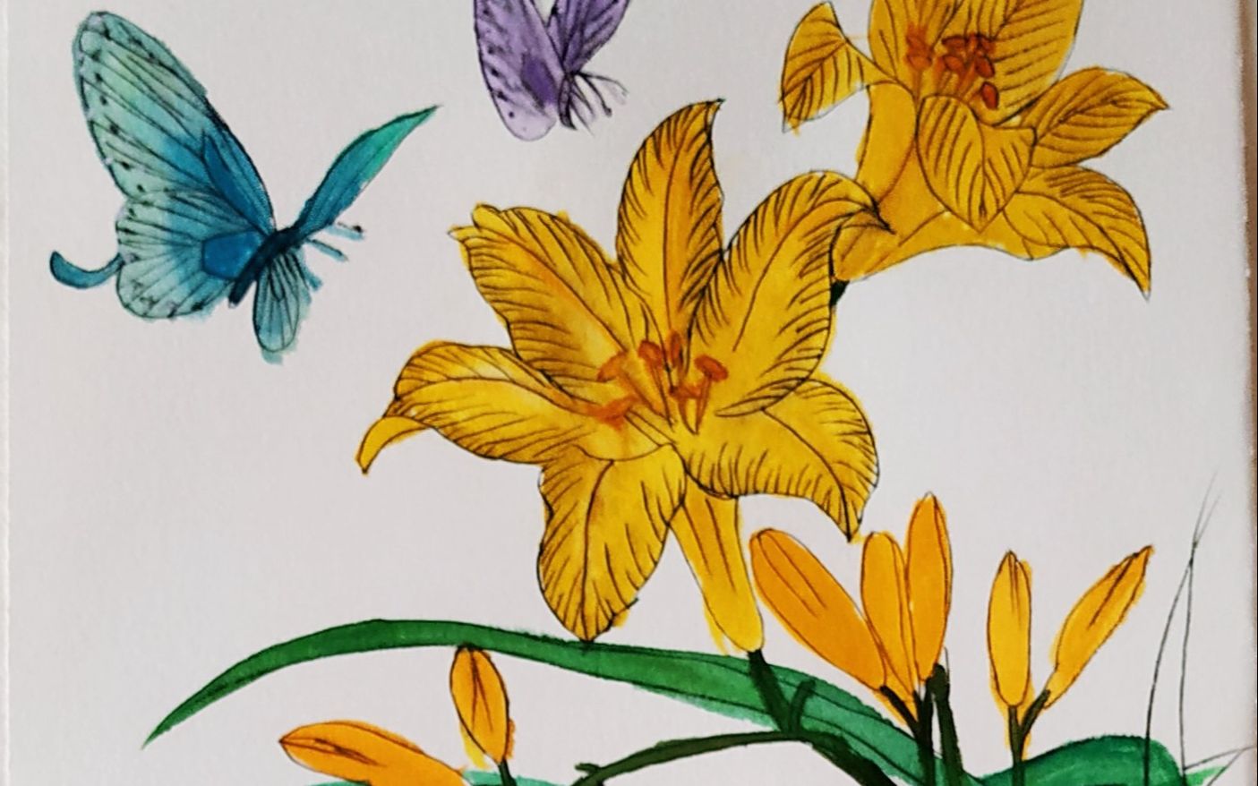 国画花鸟手绘视频步骤过程《萱草又名忘忧草》