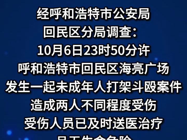 造谣、捏造呼和浩特海亮广场“当街杀人” ,20人被处罚哔哩哔哩bilibili