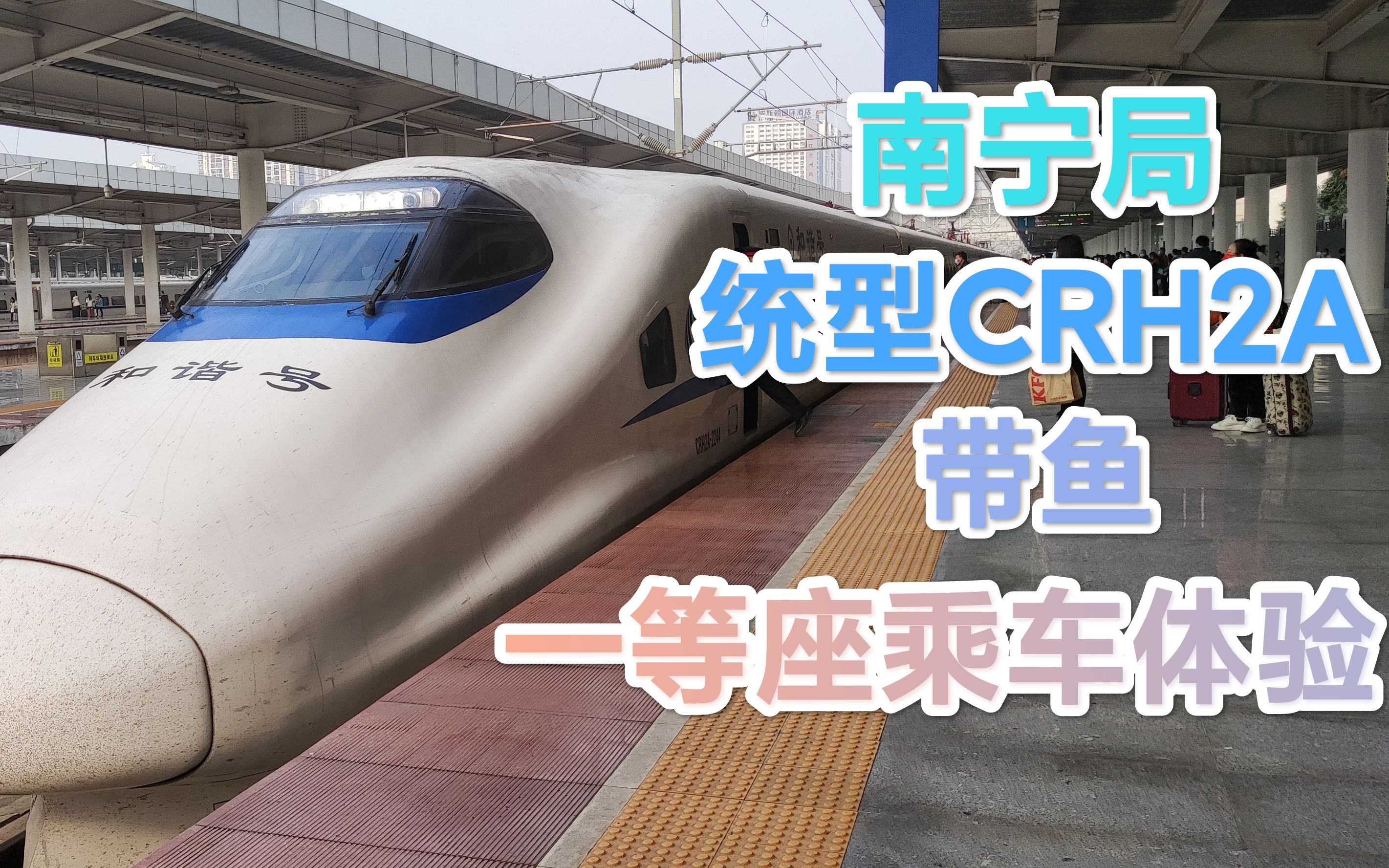 【vlog】在南昆客专上短短45km的路程都能达速的带鱼!南宁局统型CRH2A“带鱼”一等座乘坐体验(上篇)哔哩哔哩bilibili