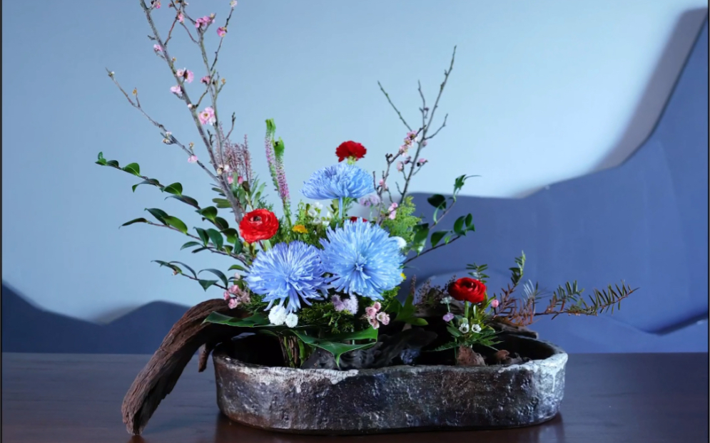 中式插花作品蓝菊盘花