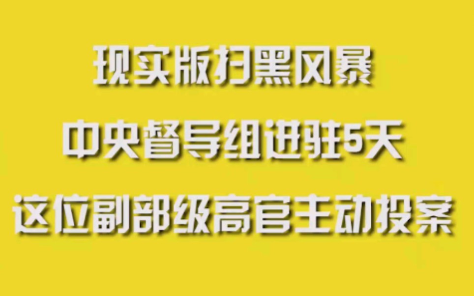 现实版扫黑风暴,中央督导组进驻5天,这位副部级高官主动投案哔哩哔哩bilibili