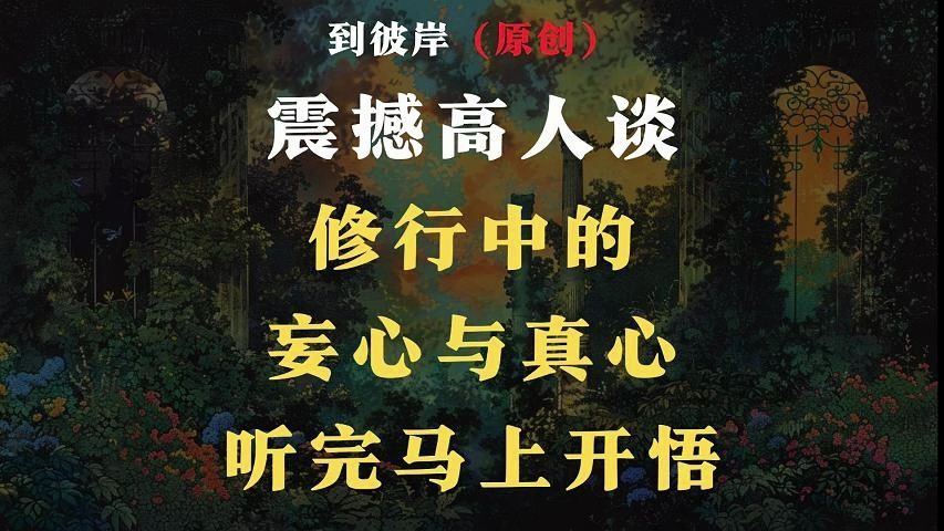 震撼!高人谈修行中的妄心与真心!听完马上开悟!哔哩哔哩bilibili