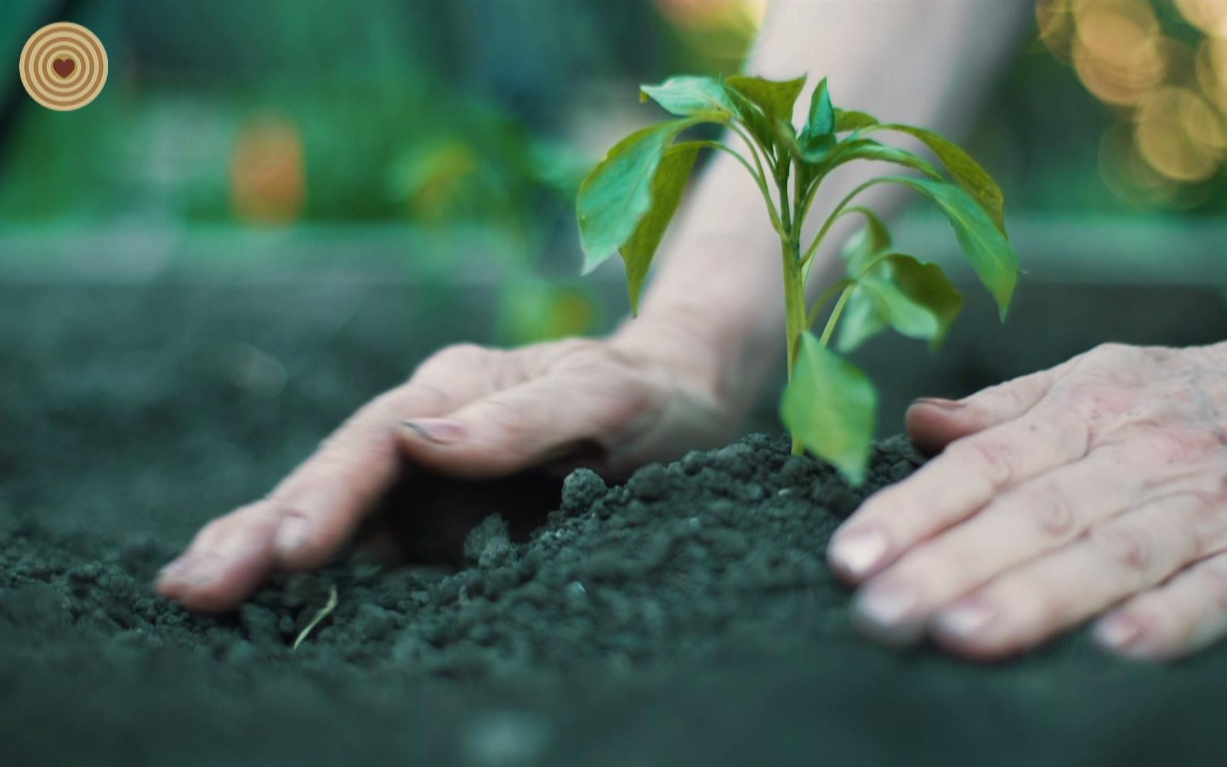 [图]“2021世界木材日”植树活动