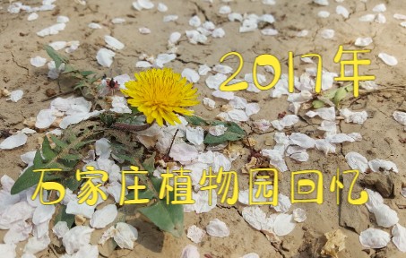 【回忆杀】【我在石家庄的日子】2017年春游石家庄植物园哔哩哔哩bilibili