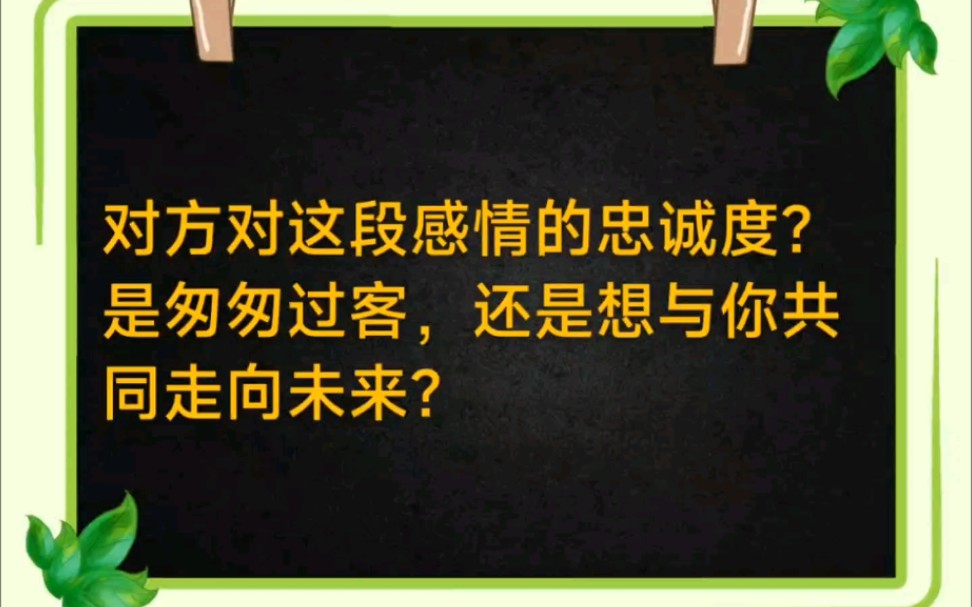 [图]塔罗占卜:对方对这段感情的忠诚度如何？是匆匆过客，还是想与你共同走向未来？