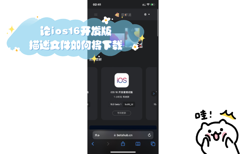 论ios16开发版描述文件如何将下载哔哩哔哩bilibili