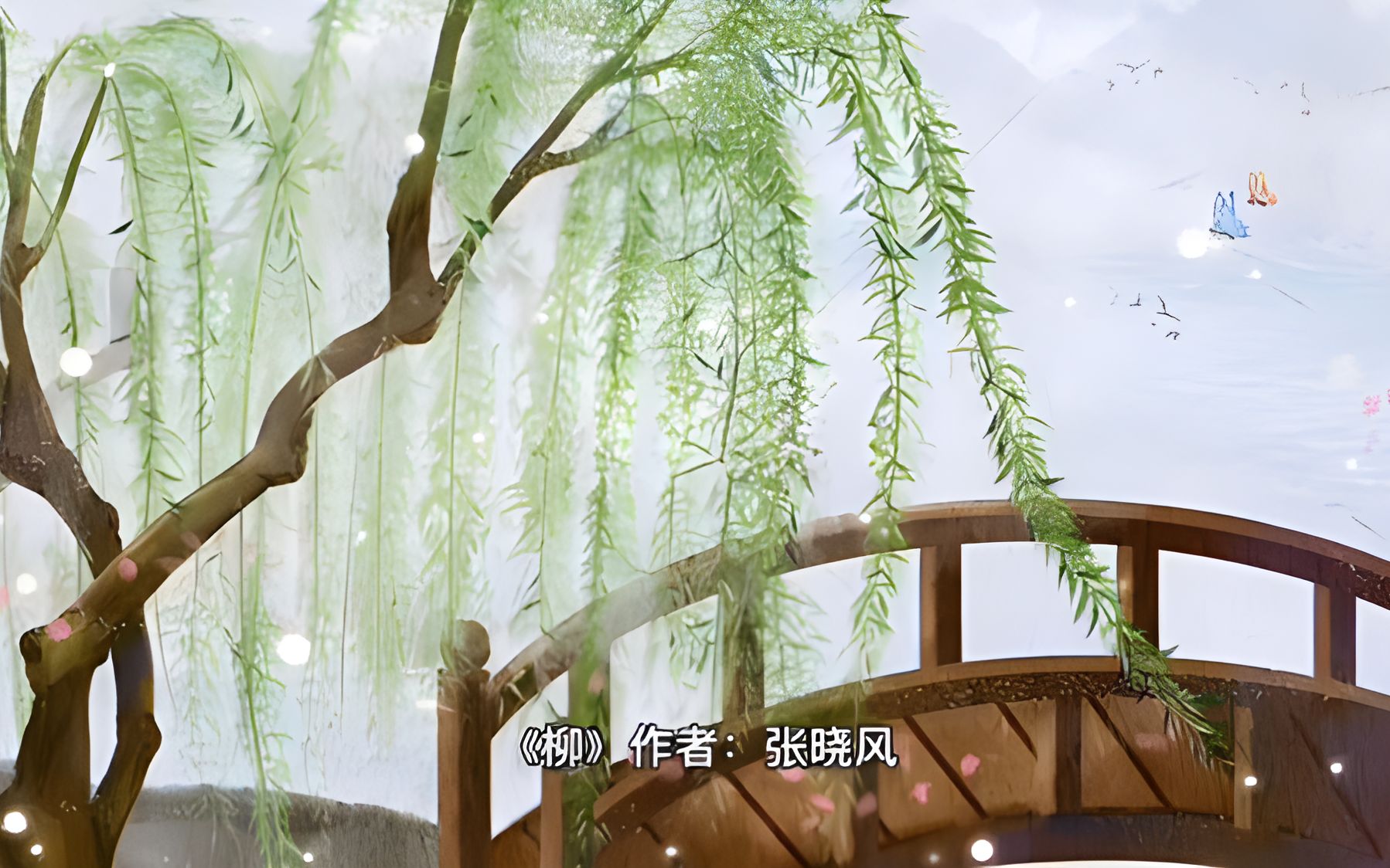 活动作品柳作者张晓风