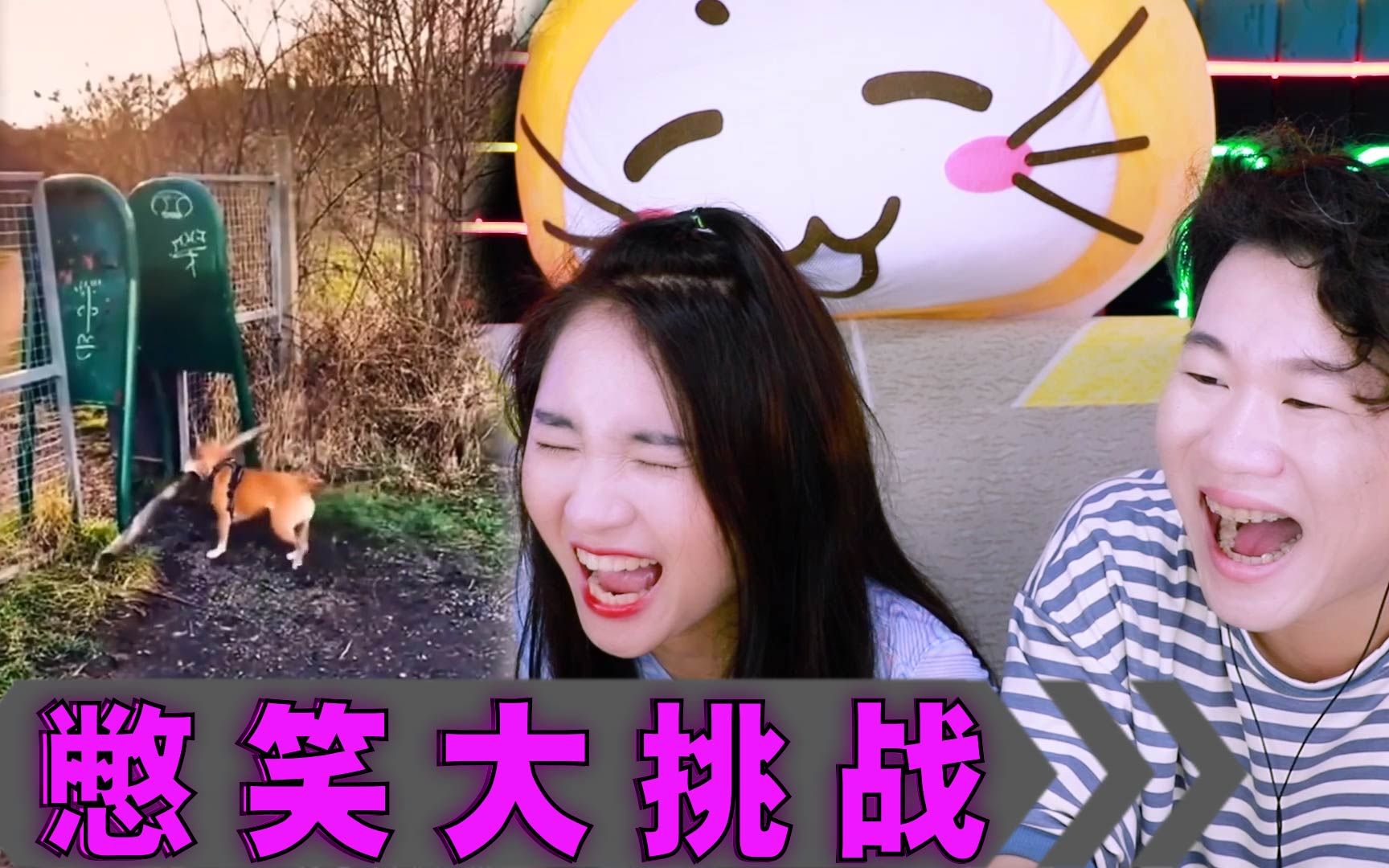 憋笑大挑战:小狗想把树枝带回家,可惜智商有限!