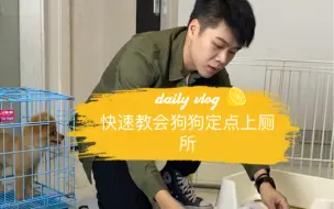 Download Video: 训练狗狗定点上厕所是一个非常需要耐心的过程！