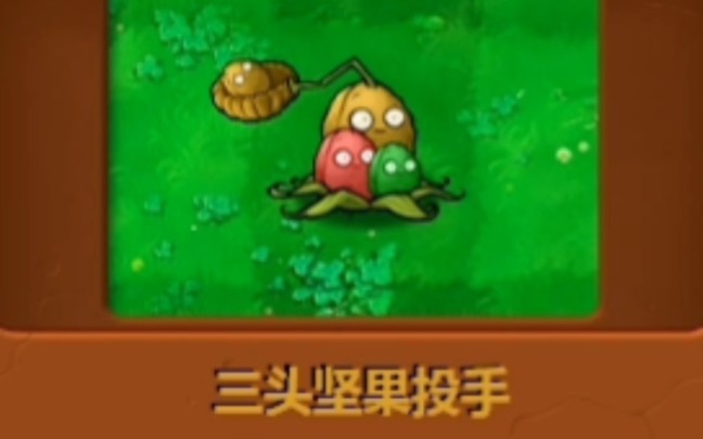 新植物:三头坚果投手