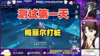 Download Video: 【幻塔】梅丽尔凯测试第一天实战录制