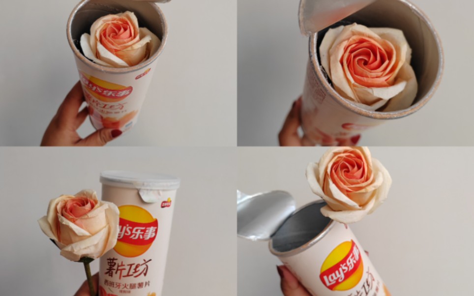 【折纸展示】佳人玫瑰(薯片花)