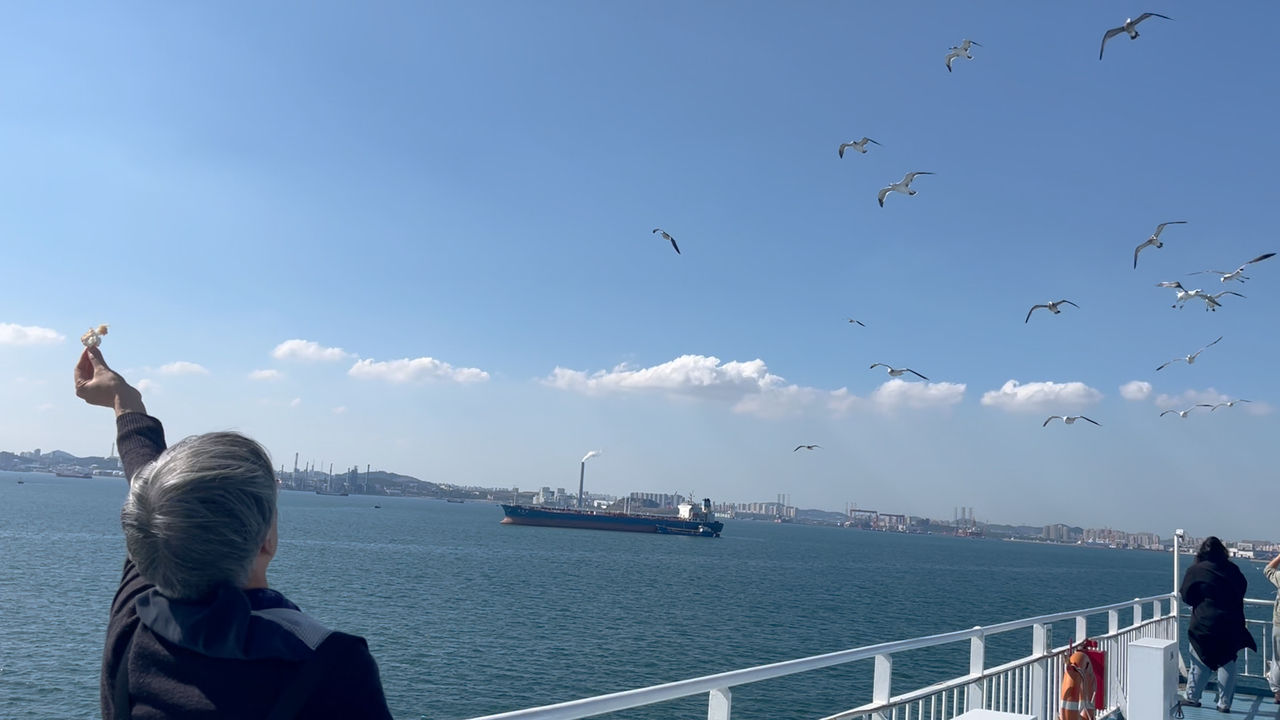 大连湾新港