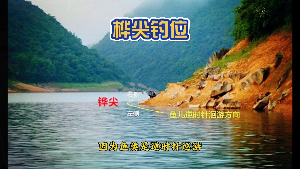 野钓钓位之桦尖位